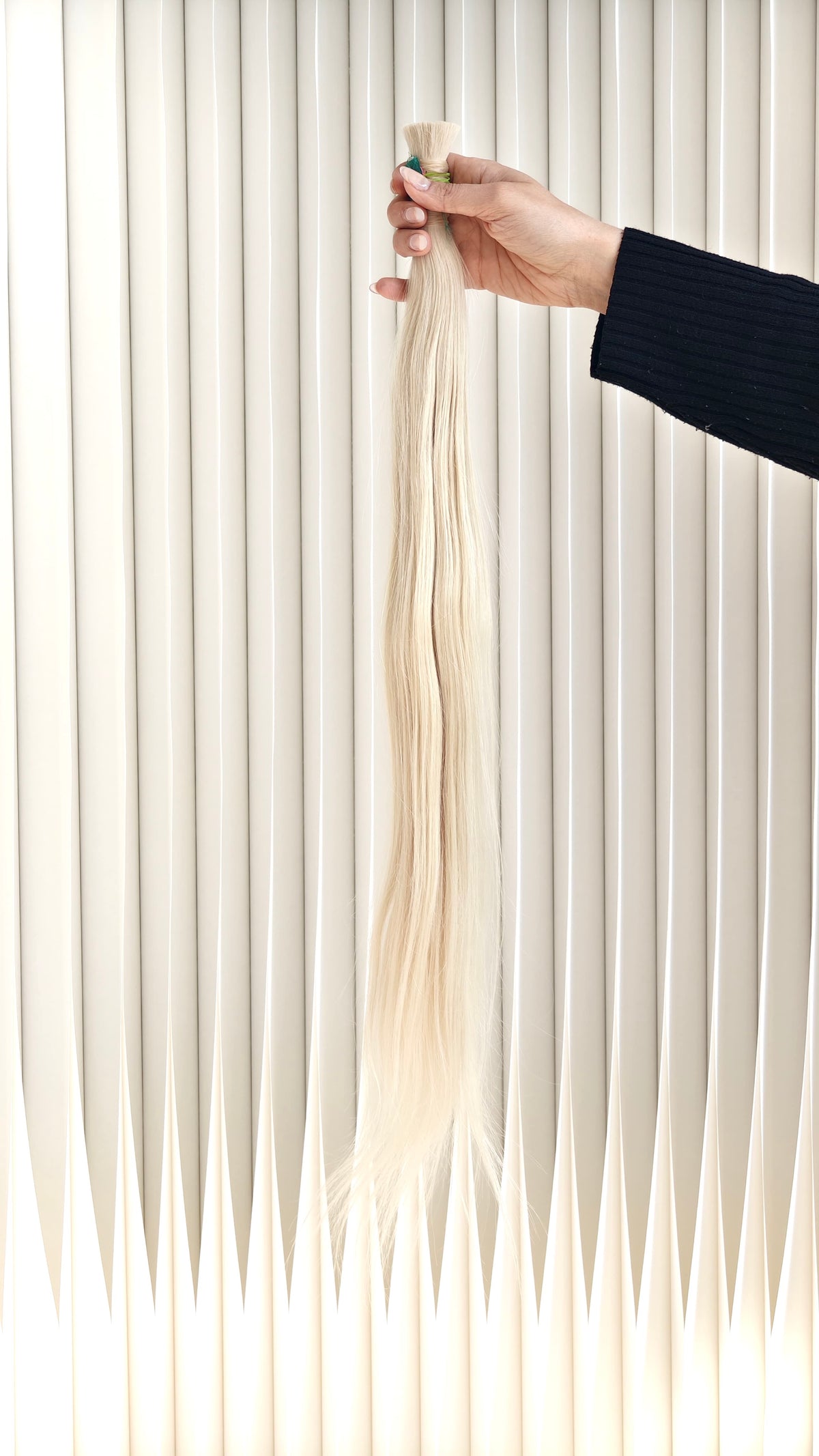 Edition 01 - 24