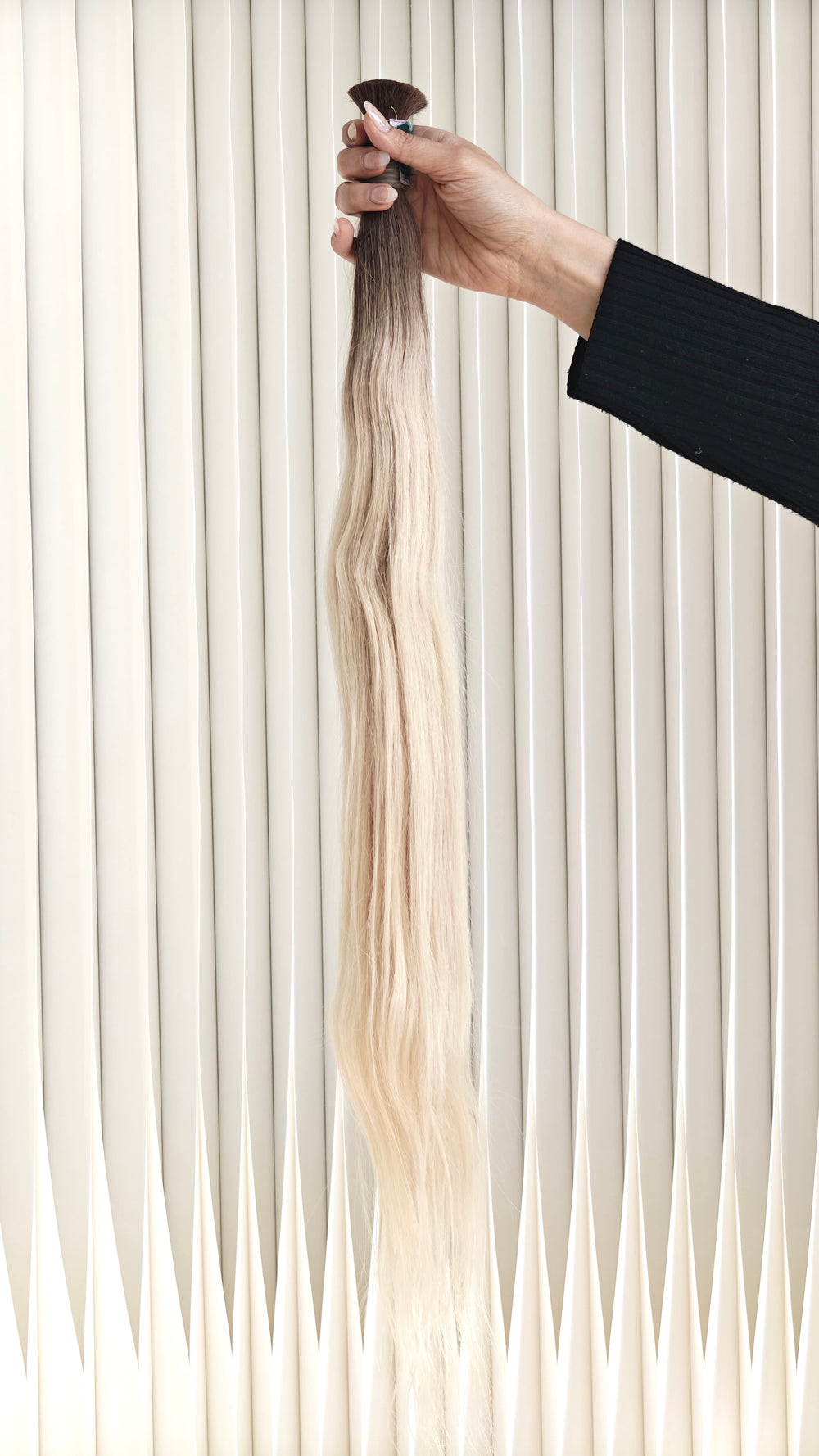 Edition 01 - 22