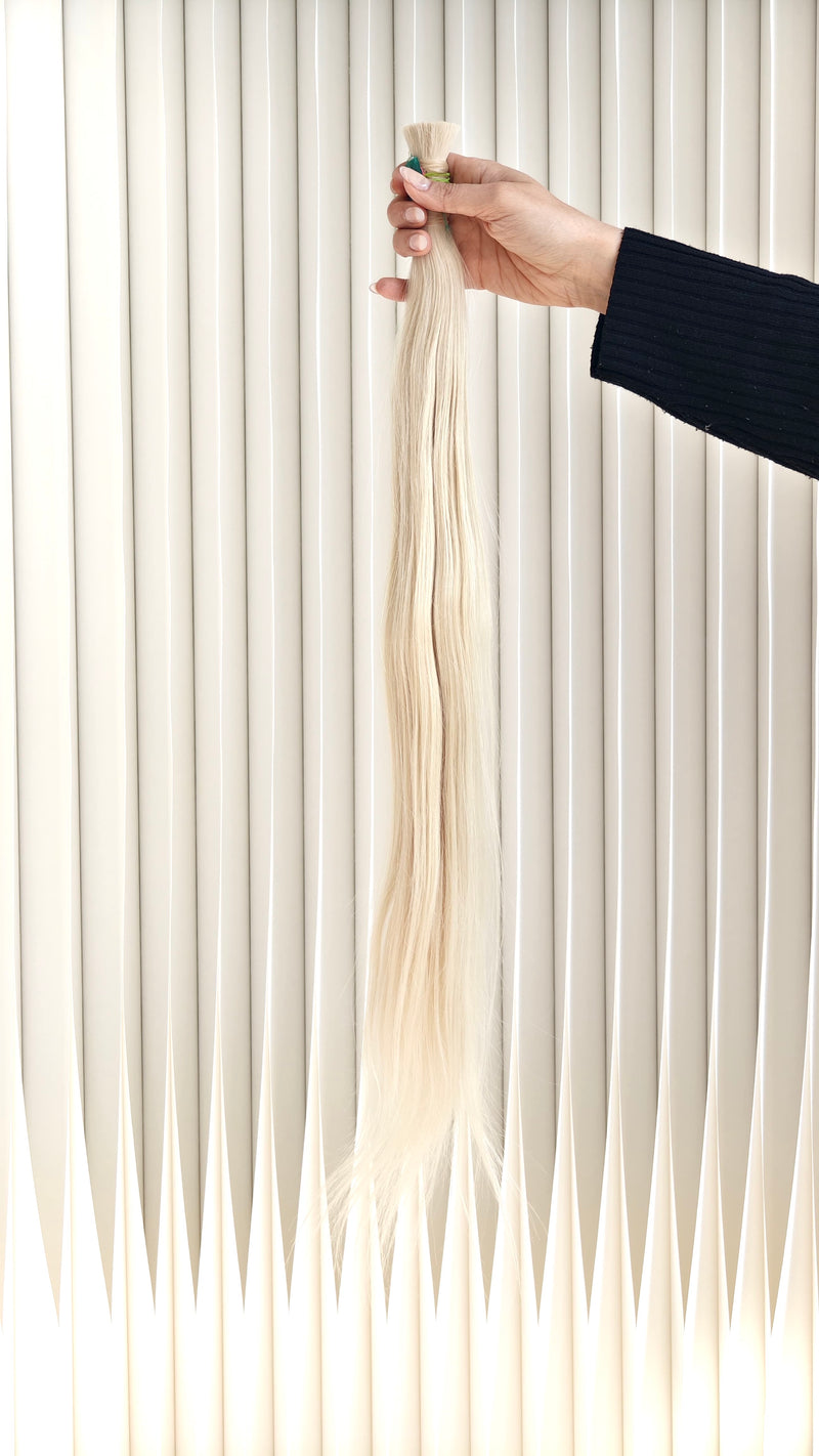 Edition 01 - 24